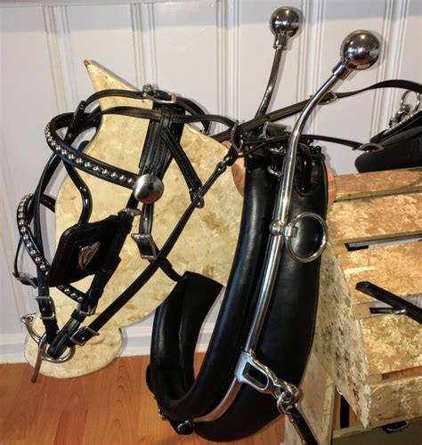 harness racing horse crossword clue|harness hames for sale.